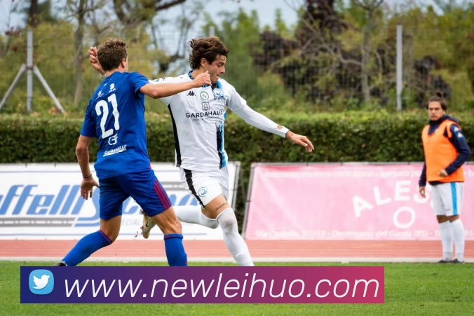 雷火电竞平台生态图